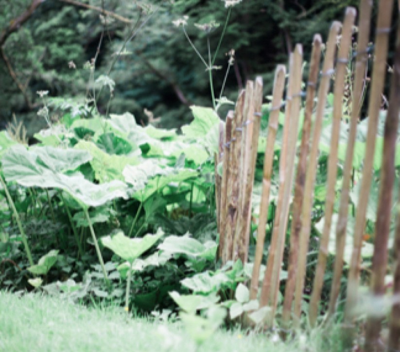 A small wooden fence standing next to some bushes