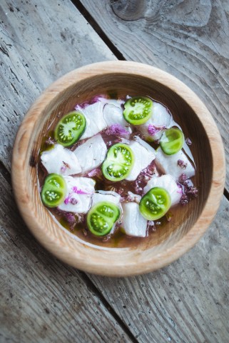 wrasse ceviche