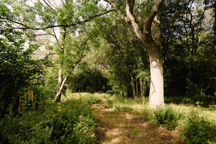 brinkburn estate walking trail