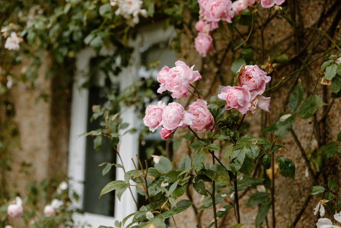 roses on wedding accommodation at brinkburn